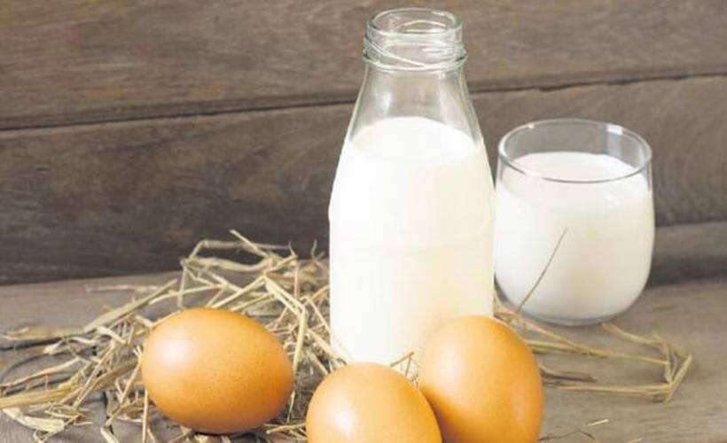 TÜİK, Aralık 2023'e ilişkin kümes hayvancılığı ile süt ve süt ürünleri üretimleri istatistiklerini açıkladı.