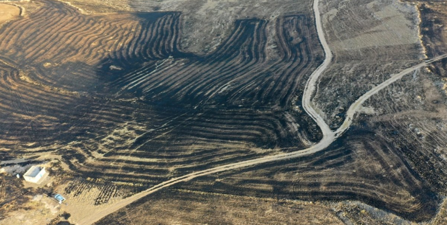 Diyarbakır ve Mardin arasında anız yangını: 5 ölü