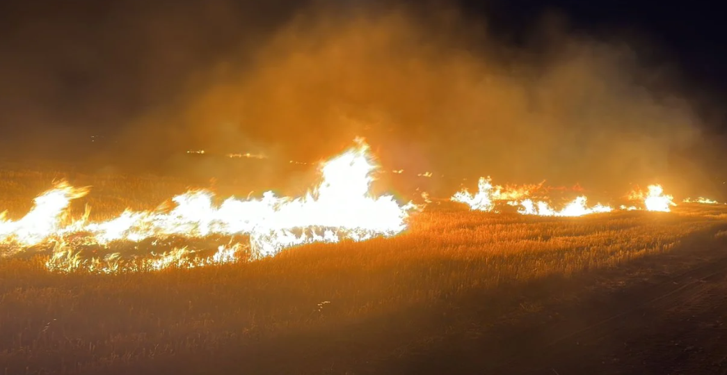 Mardin'de 5 Noktada Anız Yangını