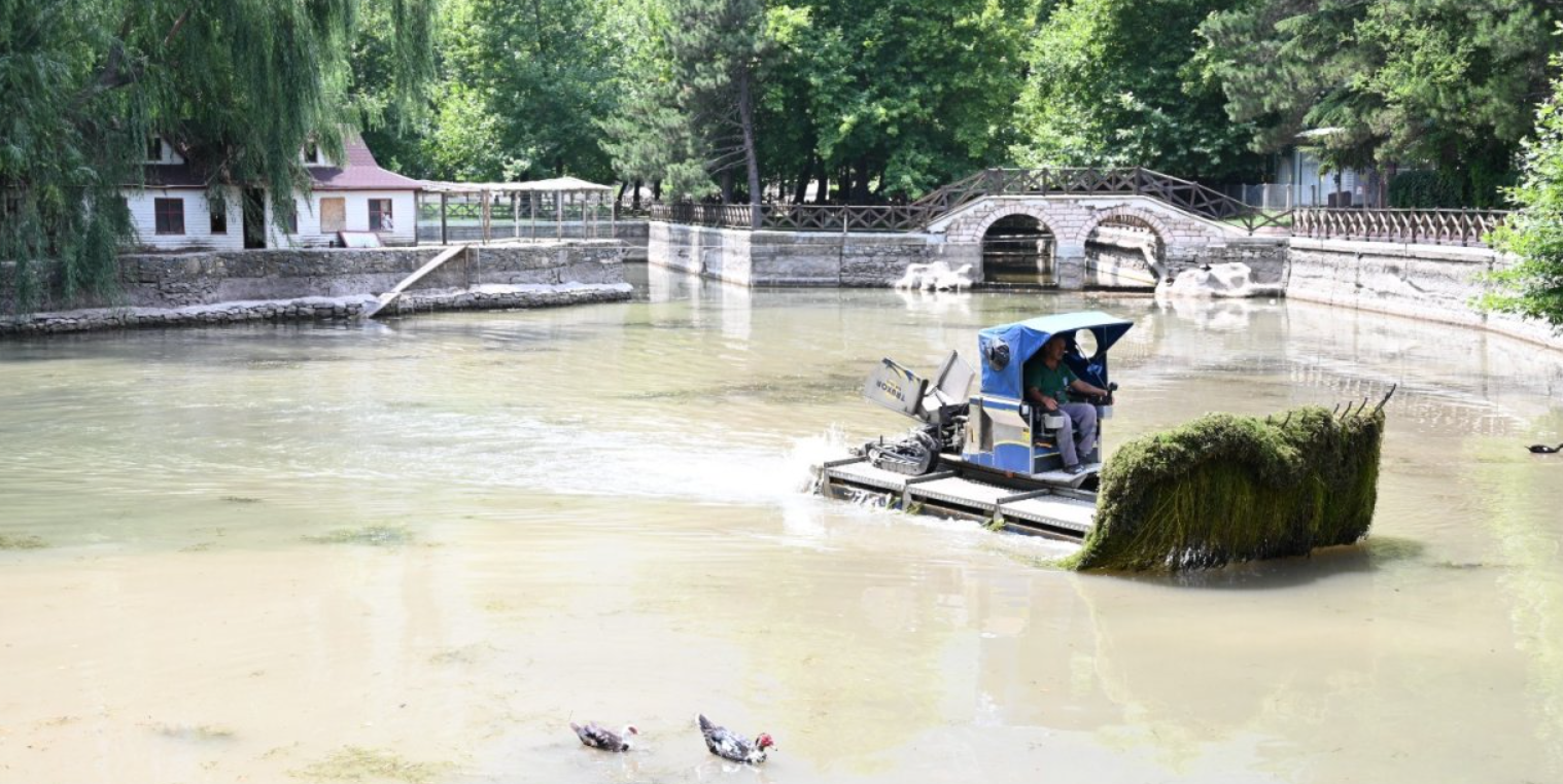 Kuğulu Park’da göletler temizleniyor